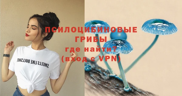 альфа пвп Инсар