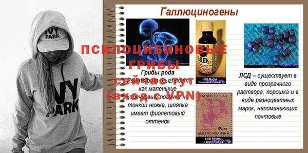 альфа пвп Инсар